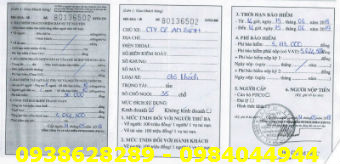 ban-bao-hiem-bat-buoc-kinh-doanh-xe-o-to-35-cho-htx-ban-huu-duong-xa.jpg